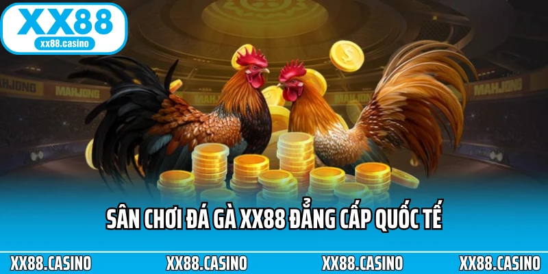 Sân chơi đá gà XX88 đẳng cấp quốc tế